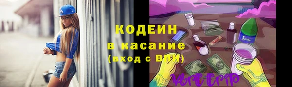 прущий лед Арсеньев