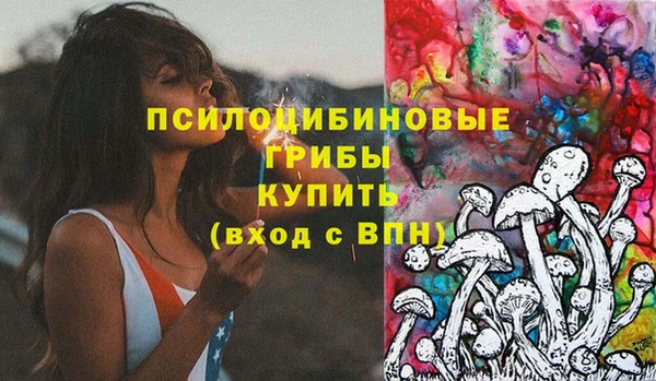прущий лед Арсеньев
