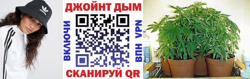 где можно купить наркотик  Когалым  blacksprut зеркало  Каннабис AK-47 